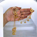 miaraa Chandni Kashmiri Long Earrings